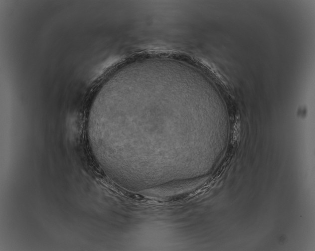 X0000091081157200708271230