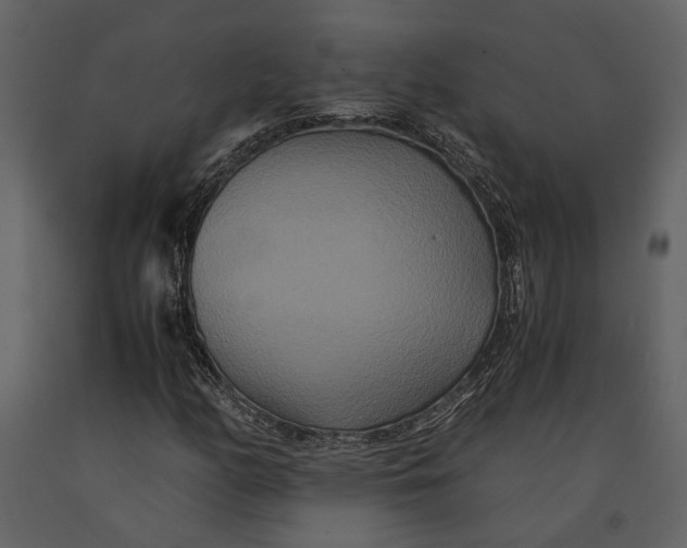 X0000091081158200708271230