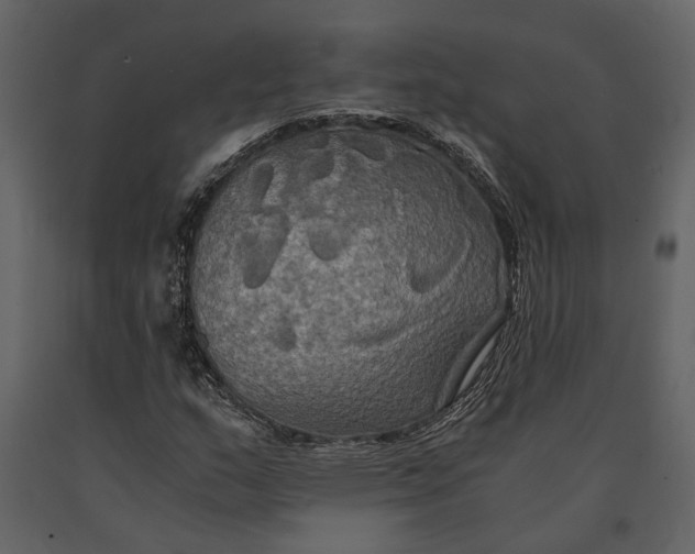 X0000091081159200708271230