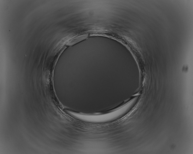 X0000091081161200708271230