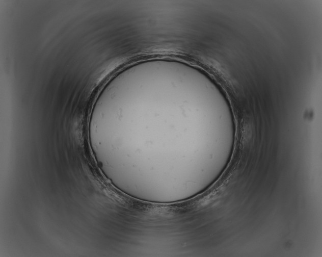 X0000091081162200708271230