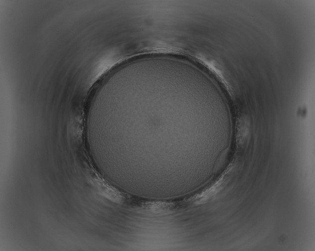 X0000091081163200708271230