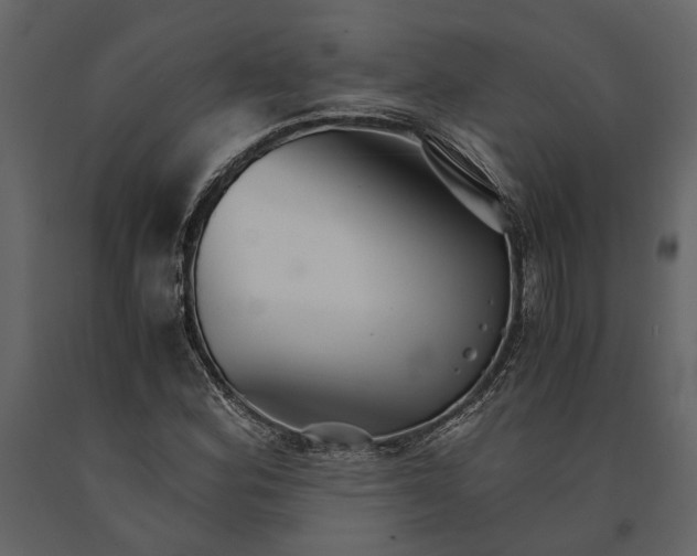 X0000091081164200708271230