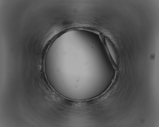 X0000091081165200708271230