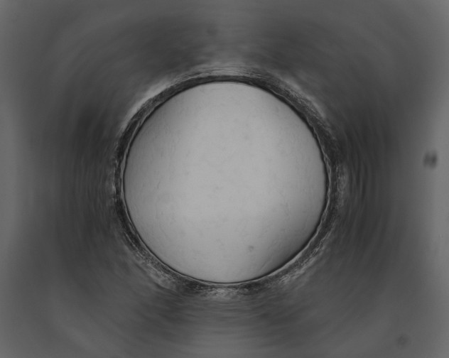 X0000091081166200708271230