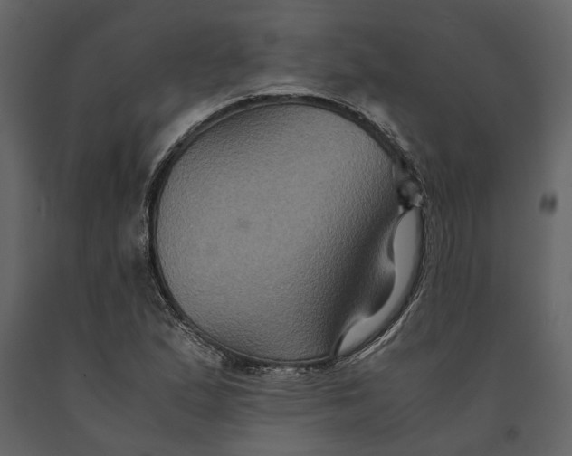 X0000091081167200708271230