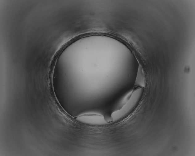 X0000091081168200708271230