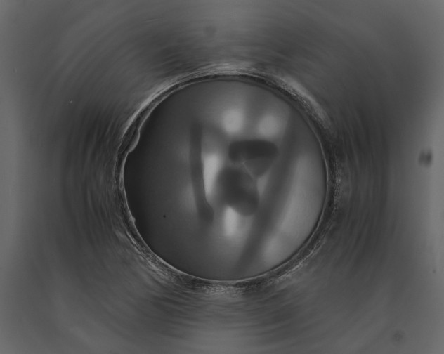 X0000091081170200708271230