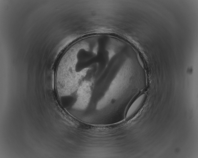 X0000091081171200708271230