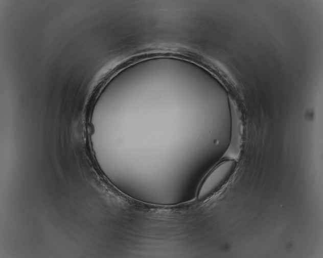 X0000091081172200708271230