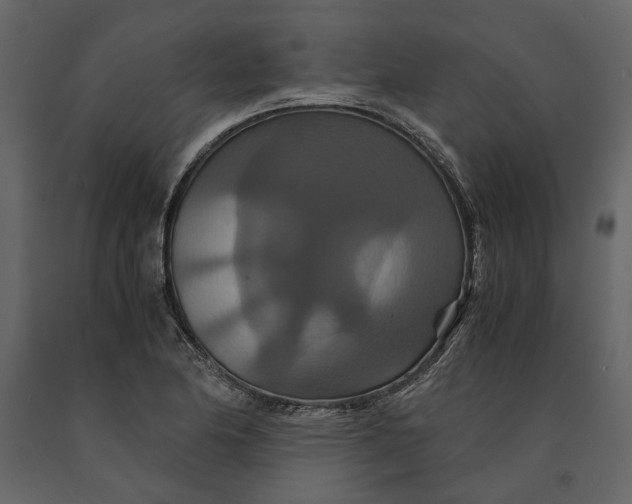 X0000091081174200708271230