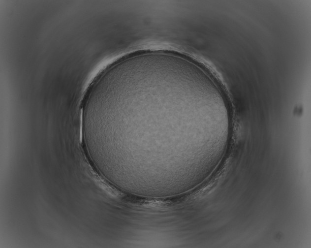 X0000091081175200708271230