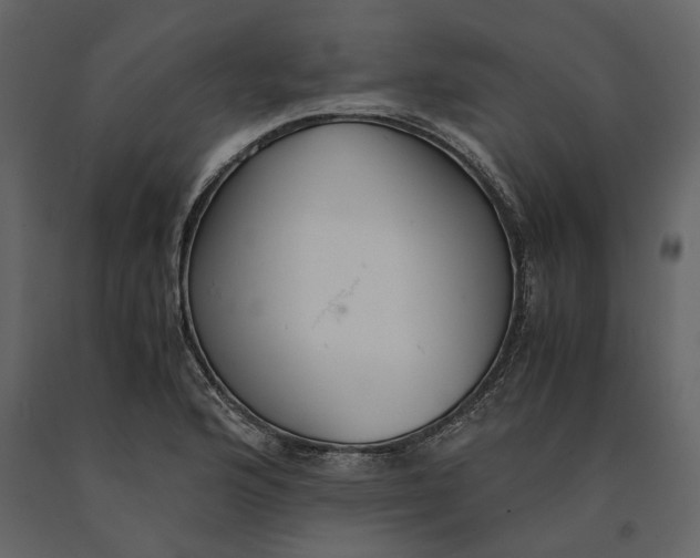 X0000091081176200708271230