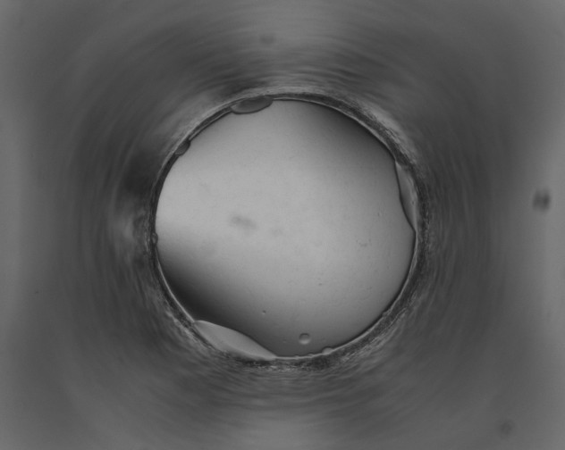 X0000091081177200708271230