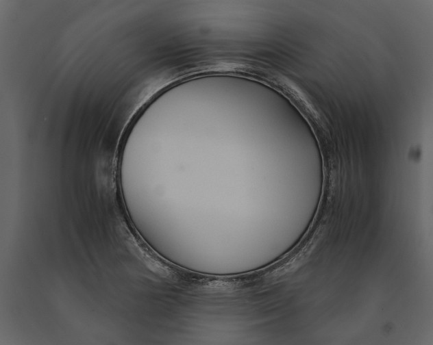 X0000091081178200708271230