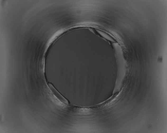 X0000091081180200708271230