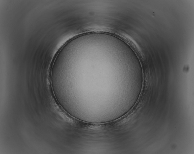 X0000091081182200708271230