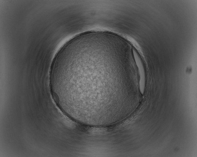 X0000091081183200708271230