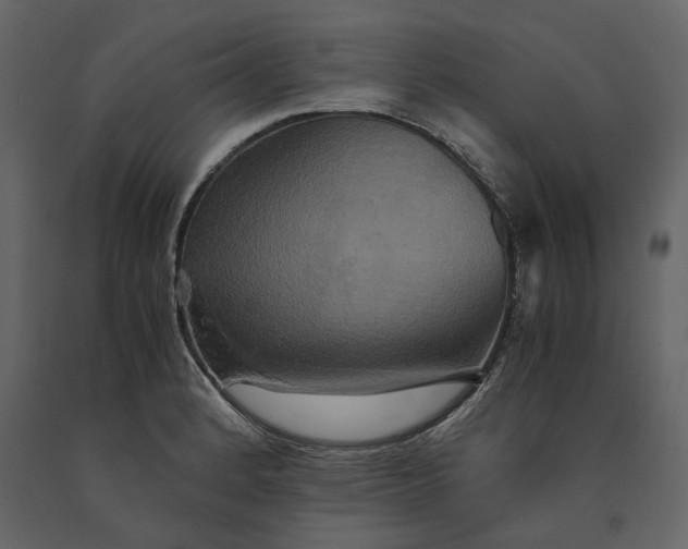 X0000091081184200708271230