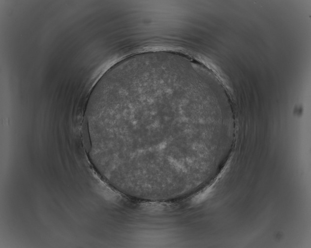 X0000091081185200708271230