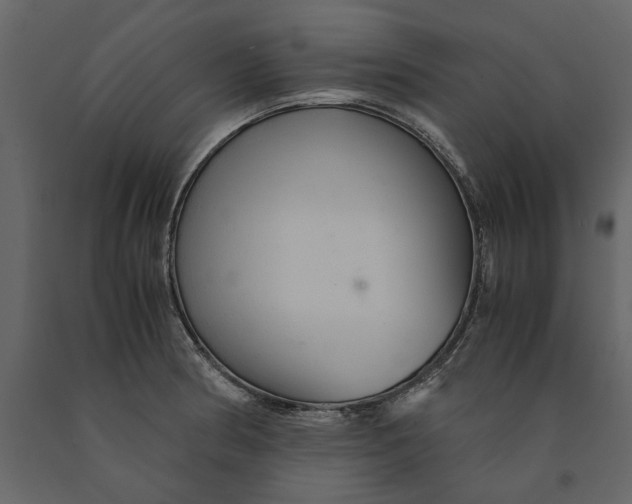 X0000091081186200708271230