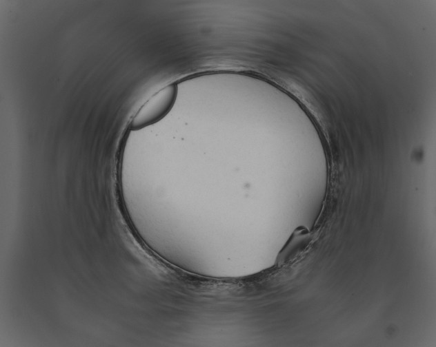 X0000091081187200708271230