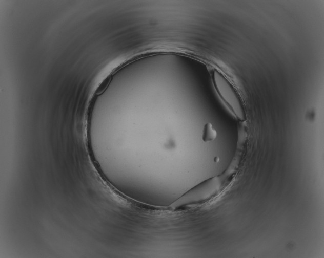 X0000091081188200708271230