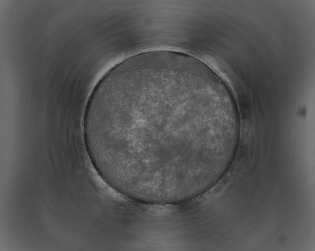 X0000091081189200708271230