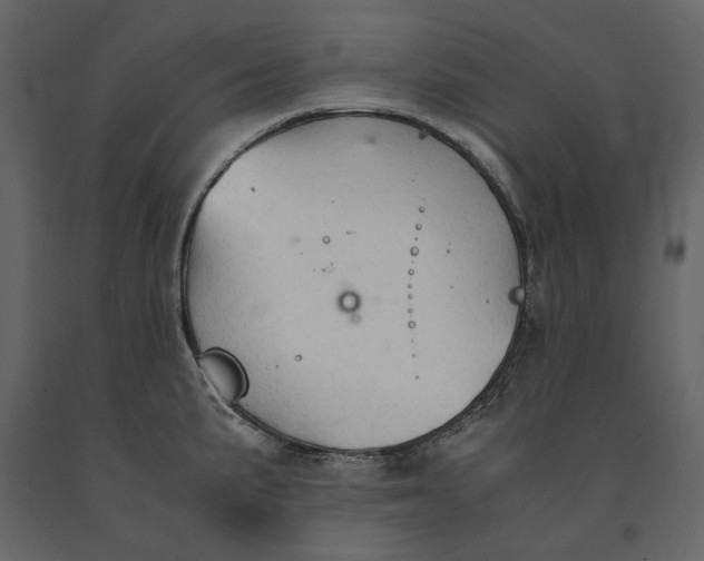 X0000091081191200708271230