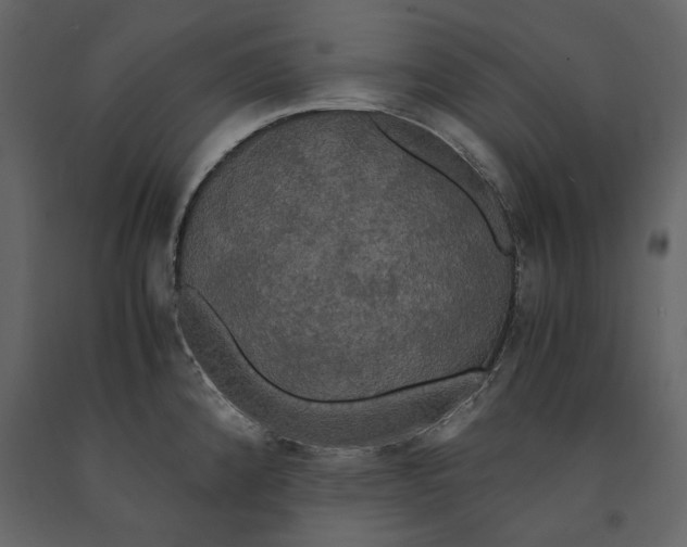 X0000091081192200708271230