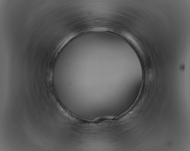 X0000091081193200708271230