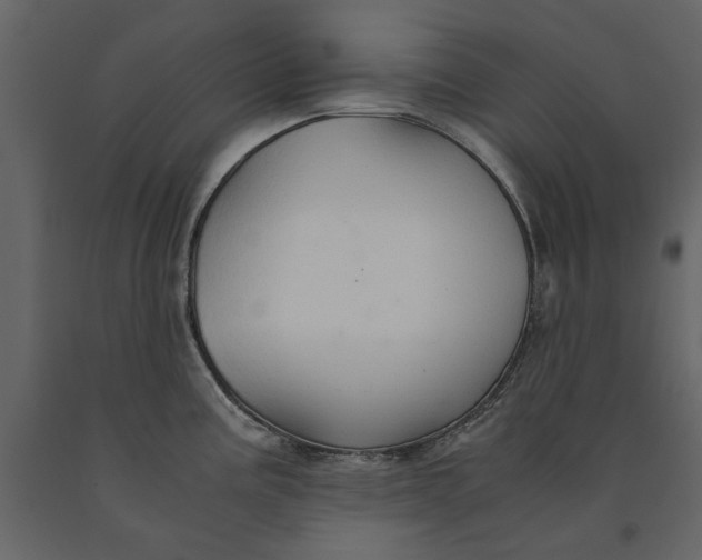 X0000091081195200708271230