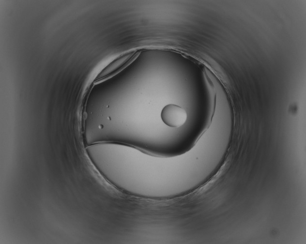 X0000091081196200708271230