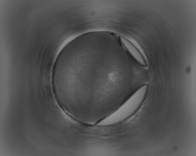 X0000091081197200708271230