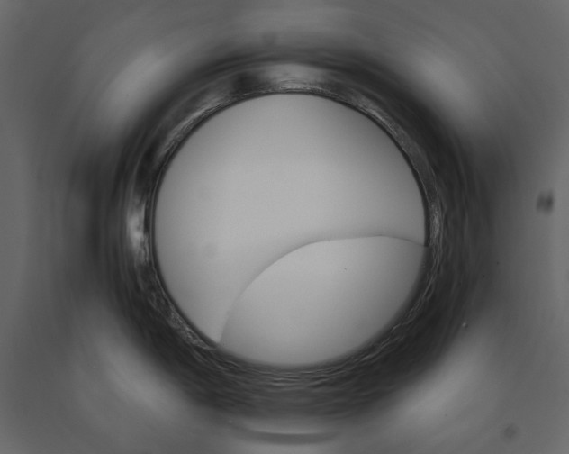 X0000091081198200708271230