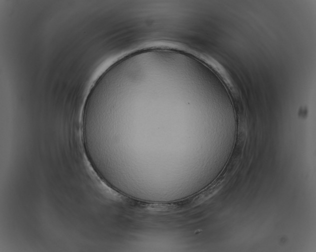 X0000091081199200708271230