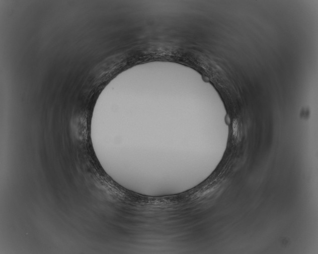 X0000091081203200708271229