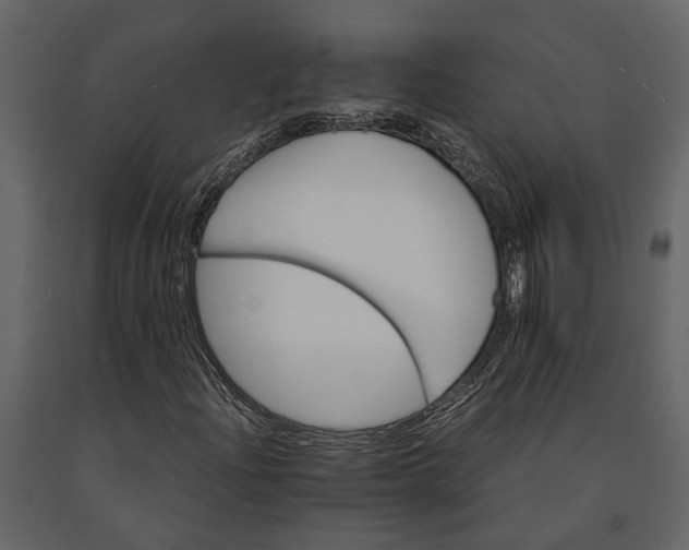 X0000091081204200708271229