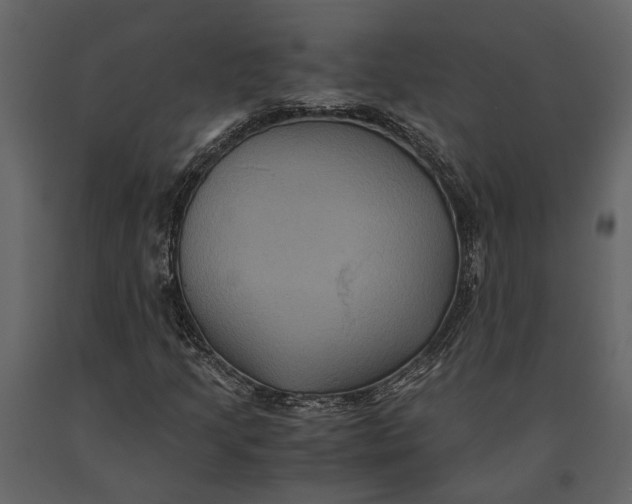 X0000091081205200708271229