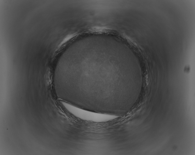 X0000091081206200708271229