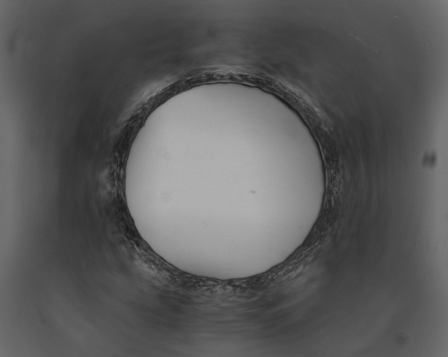 X0000091081207200708271229