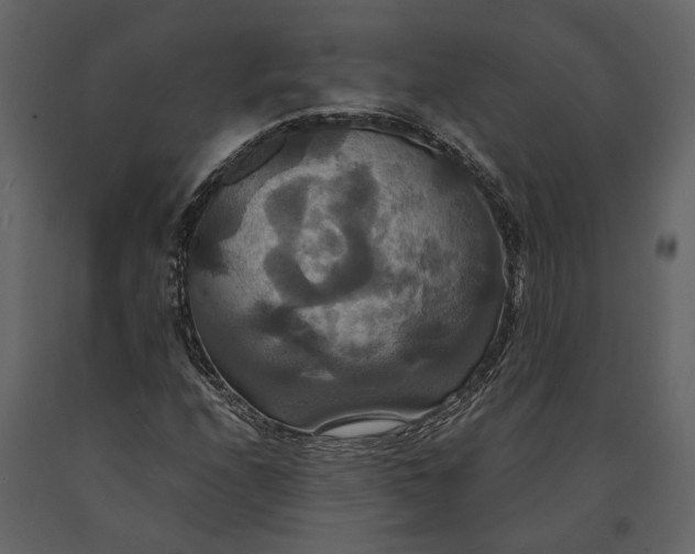 X0000091081208200708271229