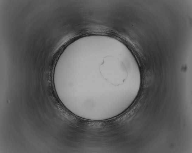 X0000091081211200708271229