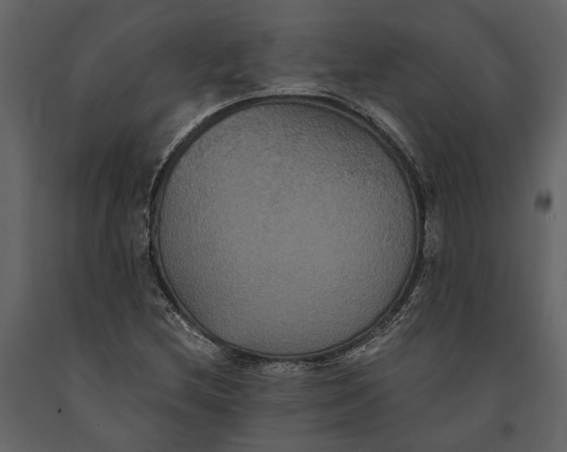 X0000091081212200708271229