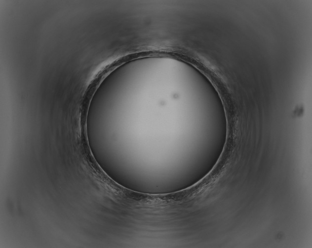 X0000091081214200708271229