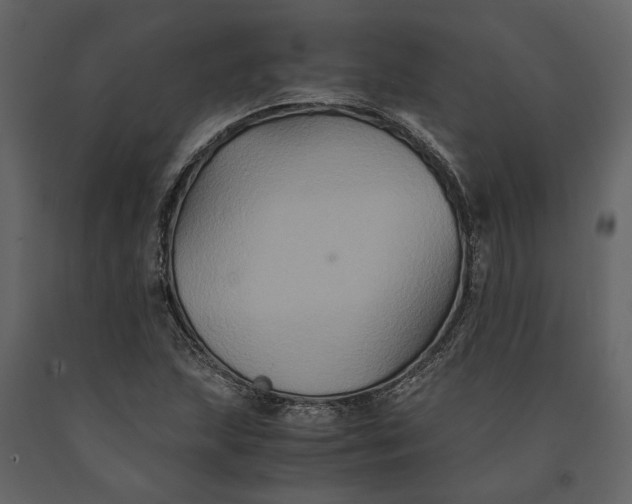 X0000091081215200708271229