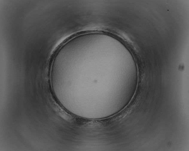 X0000091081216200708271229