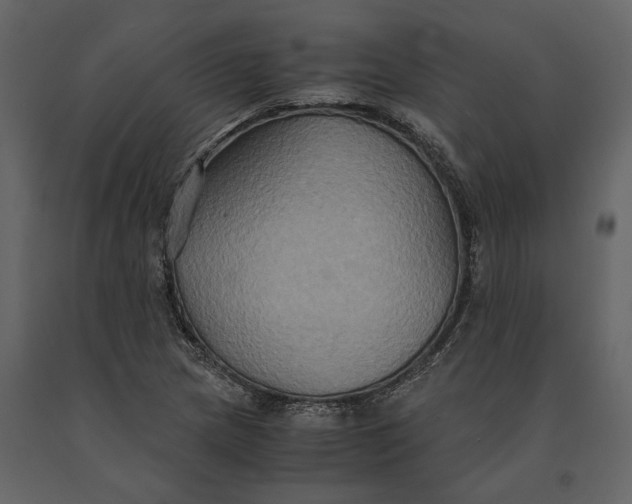 X0000091081217200708271229