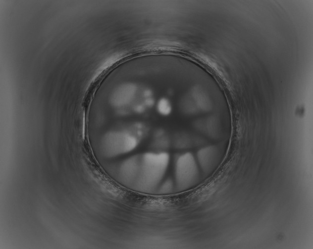 X0000091081219200708271229