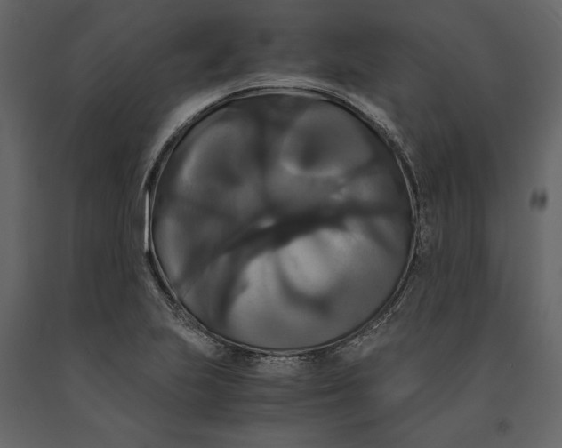 X0000091081223200708271229